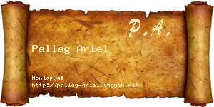 Pallag Ariel névjegykártya